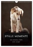 Stille Momente - Die sensible Seite der Hunde (Wandkalender 2024 DIN A4 hoch), CALVENDO Monatskalender