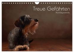Treue Gefährten - Hundeportraits (Wandkalender 2024 DIN A4 quer), CALVENDO Monatskalender