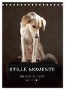 Stille Momente - Die sensible Seite der Hunde (Tischkalender 2024 DIN A5 hoch), CALVENDO Monatskalender
