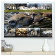 Wildschweins Kinderstube - Freche Frischlinge (hochwertiger Premium Wandkalender 2024 DIN A2 quer), Kunstdruck in Hochglanz