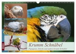 Krumm Schnäbel - Papageien, Sittiche und andere Krumm Schnäbel (Wandkalender 2024 DIN A3 quer), CALVENDO Monatskalender