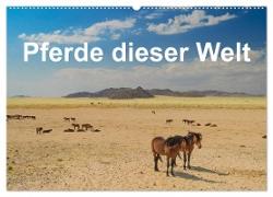 Pferde dieser Welt (Wandkalender 2024 DIN A2 quer), CALVENDO Monatskalender
