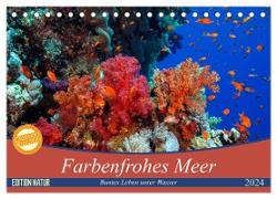 Farbenfrohes Meer (Tischkalender 2024 DIN A5 quer), CALVENDO Monatskalender