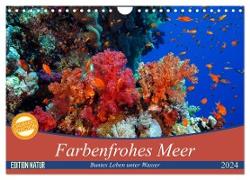Farbenfrohes Meer (Wandkalender 2024 DIN A4 quer), CALVENDO Monatskalender