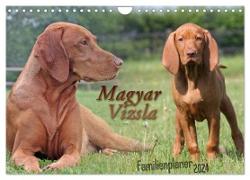 Familienplaner - Magyar Vizsla (Wandkalender 2024 DIN A4 quer), CALVENDO Monatskalender