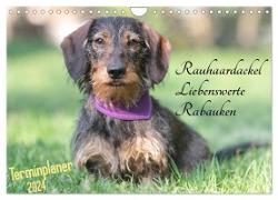 Familienplaner - Liebenswerte Rabauken - Rauhaardackel (Wandkalender 2024 DIN A4 quer), CALVENDO Monatskalender