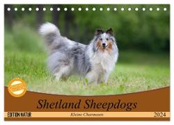 Shetland Sheepdogs - Kleine Charmeure (Tischkalender 2024 DIN A5 quer), CALVENDO Monatskalender