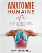 Anatomie Humaine