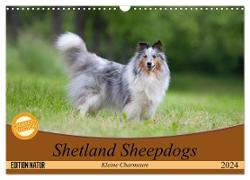 Shetland Sheepdogs - Kleine Charmeure (Wandkalender 2024 DIN A3 quer), CALVENDO Monatskalender