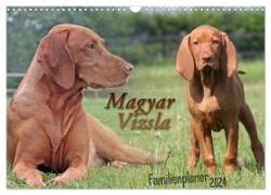 Familienplaner - Magyar Vizsla (Wandkalender 2024 DIN A3 quer), CALVENDO Monatskalender