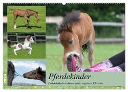 Pferdekinder - Fohlen haben ihren ganz eigenen Charme (Wandkalender 2024 DIN A2 quer), CALVENDO Monatskalender