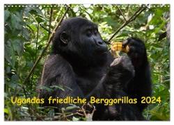 Ugandas friedliche Berggorillas (Wandkalender 2024 DIN A3 quer), CALVENDO Monatskalender