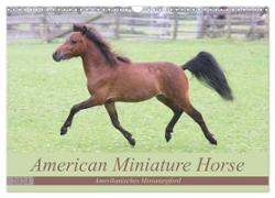 American Miniature Horse (Wandkalender 2024 DIN A3 quer), CALVENDO Monatskalender