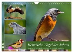 Heimische Vögel des Jahres (Wandkalender 2024 DIN A4 quer), CALVENDO Monatskalender