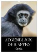 Augenblick der Affen 2024 (Wandkalender 2024 DIN A2 hoch), CALVENDO Monatskalender