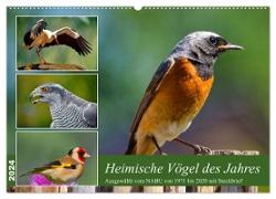 Heimische Vögel des Jahres (Wandkalender 2024 DIN A2 quer), CALVENDO Monatskalender