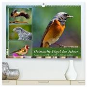 Heimische Vögel des Jahres (hochwertiger Premium Wandkalender 2024 DIN A2 quer), Kunstdruck in Hochglanz