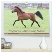 American Miniature Horse (hochwertiger Premium Wandkalender 2024 DIN A2 quer), Kunstdruck in Hochglanz