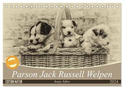 Parson Jack Russel Welpen (Tischkalender 2024 DIN A5 quer), CALVENDO Monatskalender