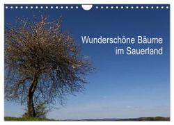 Wunderschöne Bäume im Sauerland (Wandkalender 2024 DIN A4 quer), CALVENDO Monatskalender