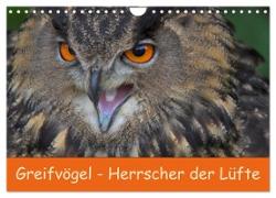 Greifvögel - Herrscher der Lüfte (Wandkalender 2024 DIN A4 quer), CALVENDO Monatskalender