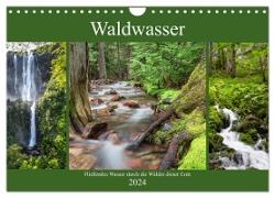 Waldwasser (Wandkalender 2024 DIN A4 quer), CALVENDO Monatskalender