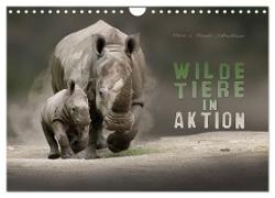 WILDE TIERE IN AKTION (Wandkalender 2024 DIN A4 quer), CALVENDO Monatskalender