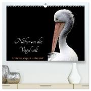 Näher an die Vogelwelt - Exotische Vögel aus aller Welt (hochwertiger Premium Wandkalender 2024 DIN A2 quer), Kunstdruck in Hochglanz