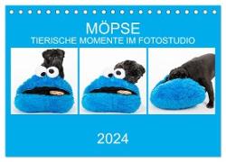 MÖPSE - tierische Momente im Fotostudio (Tischkalender 2024 DIN A5 quer), CALVENDO Monatskalender