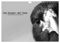 Die Seelen der wilden Tiere (Wandkalender 2024 DIN A4 quer), CALVENDO Monatskalender