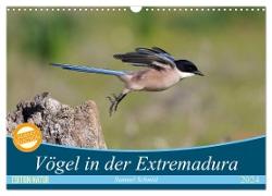 Vögel in der Extremadura (Wandkalender 2024 DIN A3 quer), CALVENDO Monatskalender