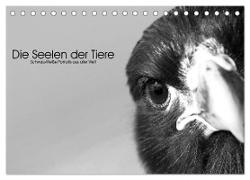 Die Seelen der wilden Tiere (Tischkalender 2024 DIN A5 quer), CALVENDO Monatskalender