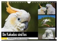 Die Kakadus sind los (Wandkalender 2024 DIN A4 quer), CALVENDO Monatskalender