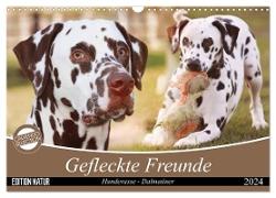 Gefleckte Freunde - Hunderasse Dalmatiner (Wandkalender 2024 DIN A3 quer), CALVENDO Monatskalender