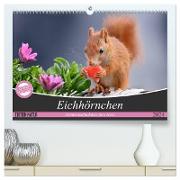 Eichhörnchen Momentaufnahmen fürs Herz (hochwertiger Premium Wandkalender 2024 DIN A2 quer), Kunstdruck in Hochglanz