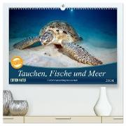 Tauchen, Fische und Meer (hochwertiger Premium Wandkalender 2024 DIN A2 quer), Kunstdruck in Hochglanz