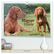 Familienplaner - Magyar Vizsla (hochwertiger Premium Wandkalender 2024 DIN A2 quer), Kunstdruck in Hochglanz