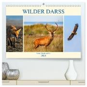 Wilder Darß - Fuchs, Hirsch und Co. 2024 (hochwertiger Premium Wandkalender 2024 DIN A2 quer), Kunstdruck in Hochglanz