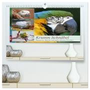 Krumm Schnäbel - Papageien, Sittiche und andere Krumm Schnäbel (hochwertiger Premium Wandkalender 2024 DIN A2 quer), Kunstdruck in Hochglanz