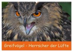 Greifvögel - Herrscher der Lüfte (Wandkalender 2024 DIN A2 quer), CALVENDO Monatskalender