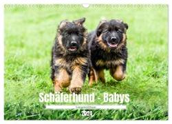 Langstockhaar - Schäferhund - Babys (Wandkalender 2024 DIN A3 quer), CALVENDO Monatskalender