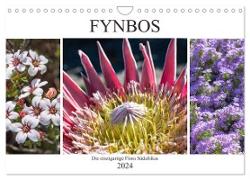 Fynbos - Die einzigartige Flora Südafrikas (Wandkalender 2024 DIN A4 quer), CALVENDO Monatskalender