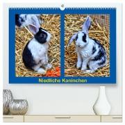 Niedliche Kaninchen (hochwertiger Premium Wandkalender 2024 DIN A2 quer), Kunstdruck in Hochglanz