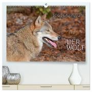 Begegnungen DER WOLF (hochwertiger Premium Wandkalender 2024 DIN A2 quer), Kunstdruck in Hochglanz