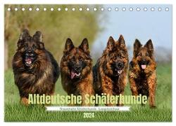 Altdeutsche Schäferhunde - Traumhafte Schäferhunde Langstockhaar (Tischkalender 2024 DIN A5 quer), CALVENDO Monatskalender