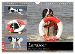 Landseer - Das Wasser ist ihr Element (Wandkalender 2024 DIN A4 quer), CALVENDO Monatskalender