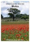 Wissenswertes über den Mohn - Pflanze des Jahres (Tischkalender 2024 DIN A5 hoch), CALVENDO Monatskalender