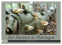 Der Hainich in Thüringen - Weltnaturerbe (Wandkalender 2024 DIN A4 quer), CALVENDO Monatskalender