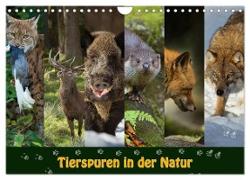 Tierspuren in der Natur (Wandkalender 2024 DIN A4 quer), CALVENDO Monatskalender