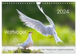 Wattvögel an der Friesischen IJsselmeerküste (Wandkalender 2024 DIN A4 quer), CALVENDO Monatskalender